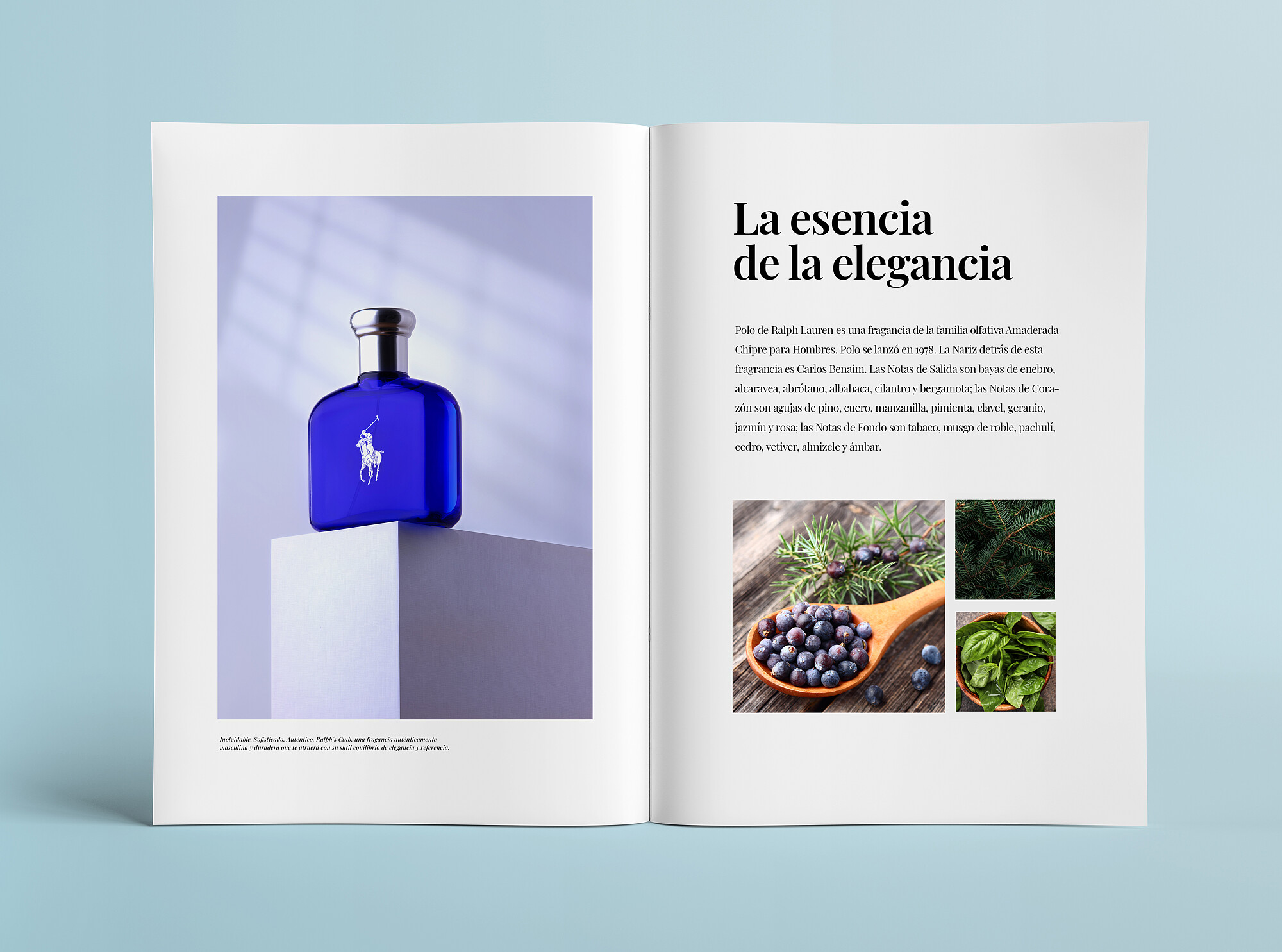 daniferrer - revista.jpg